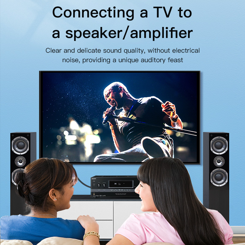 CHOSEAL RCAケーブル デジタル同軸オーディオケーブ - Genius Home Cinema のレビューと価格